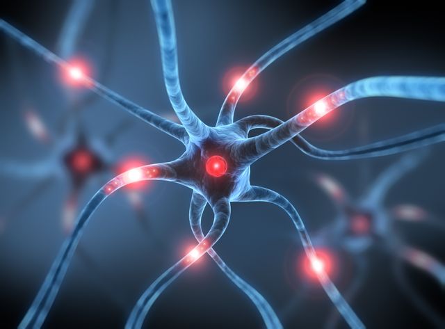 Neurone