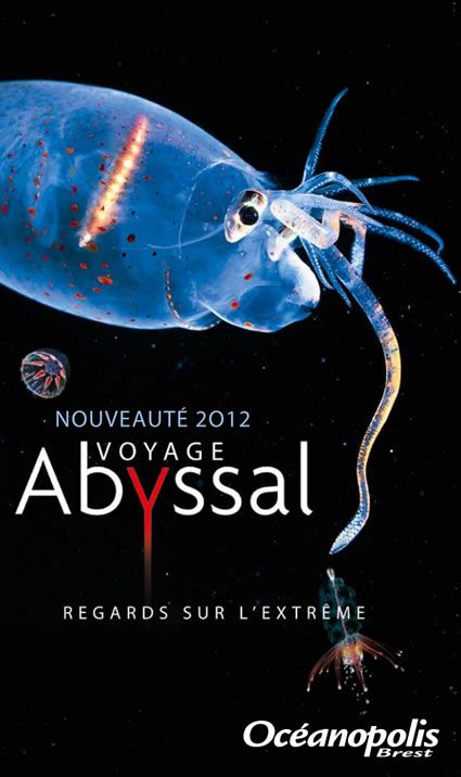Océanopolis Brest - AbyssBox