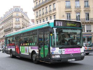 bus 81
