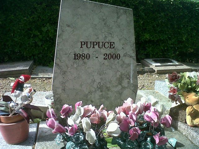Pupuce