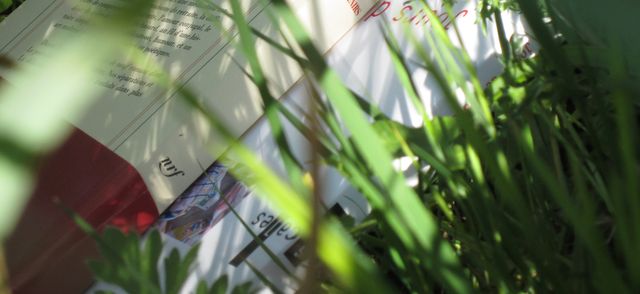 un été à lire 2