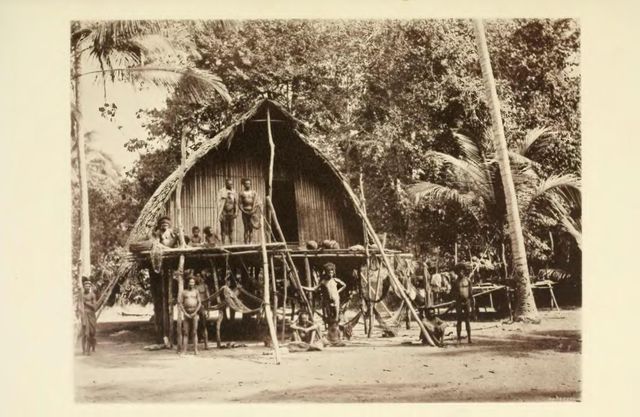 Maison papouasienne du district de Kabade en 1885
