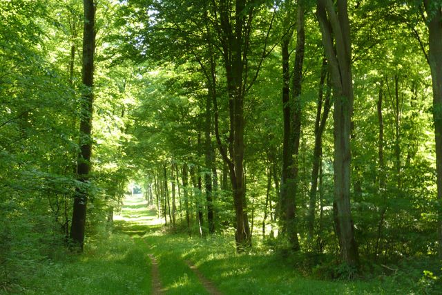 L'Oise