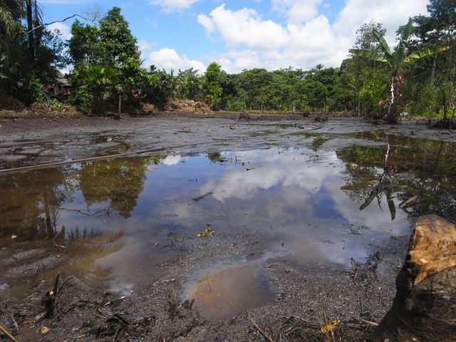 Pollution pétrolière en Equateur