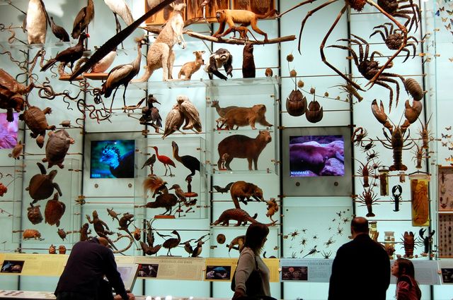 Biodiversity