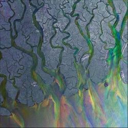 Alt-J Delta