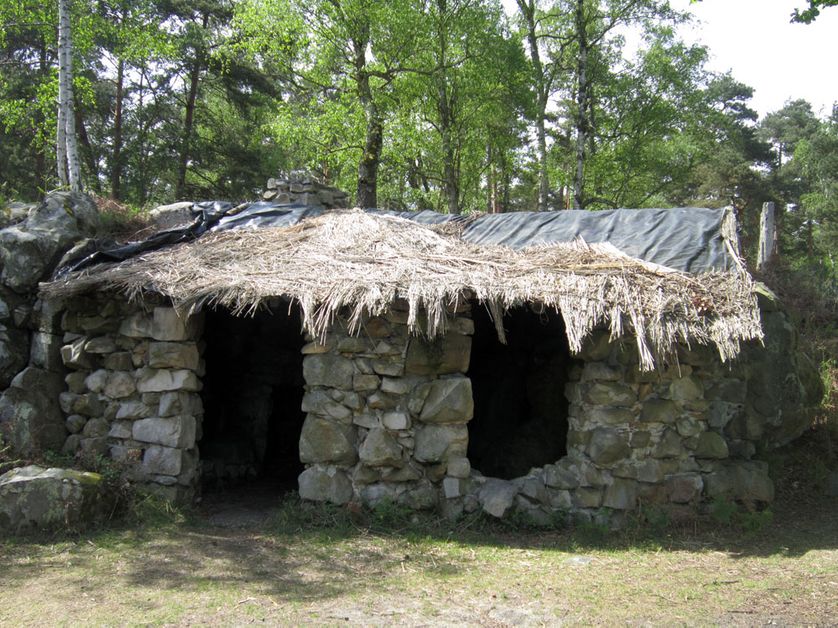 la cabane, lieu de méditation de Rousseau