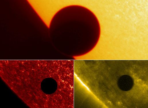 The Rare Venus Transit
