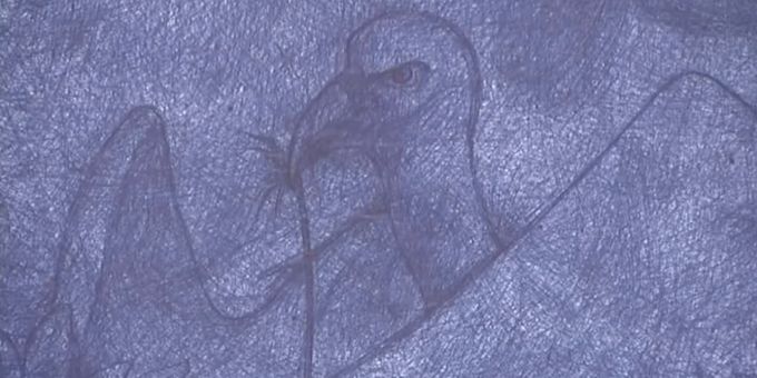 L'heure bleue - Jan Fabre