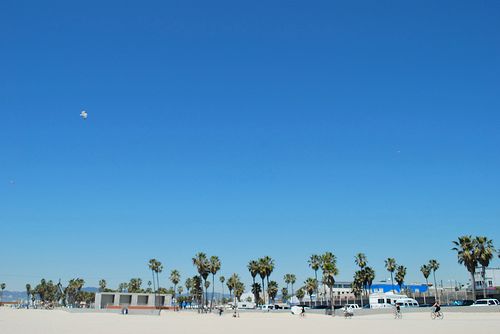 Venice Beach