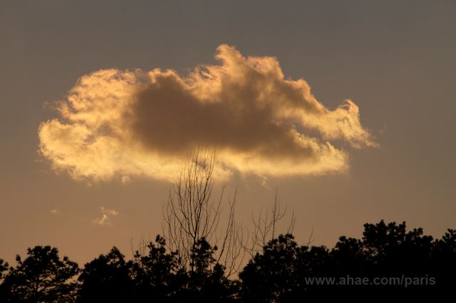 nuage