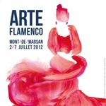 Arte Flamenco