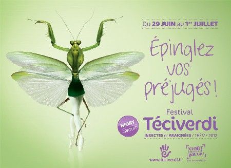 Festival Teciverdi