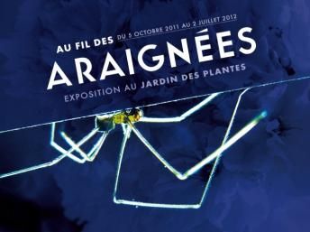 Au fil des araignées