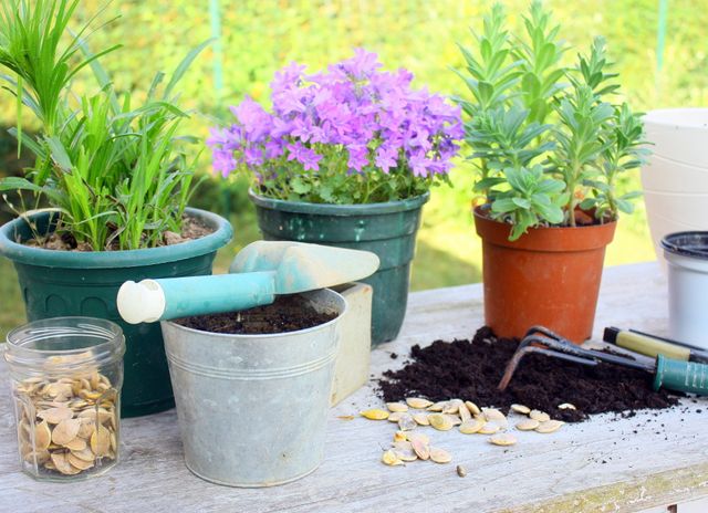 De nouveaux bacs à fleurs pour le balcon