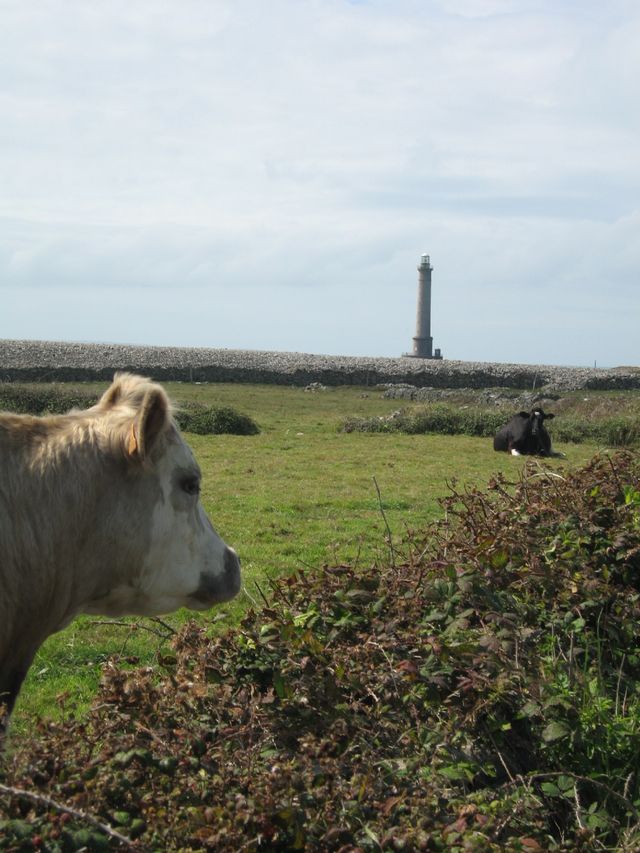 Goury4, Cotentin