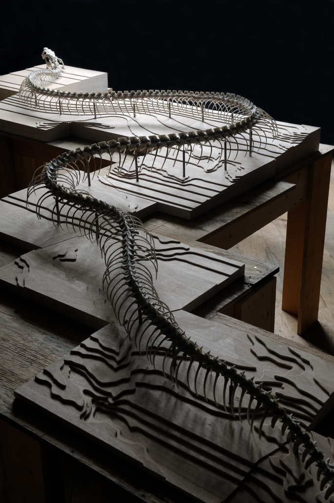 Maquette au 1/20e Huang Yong Ping, Serpent d'océan, Saint-Brévin-les-pins, création pérenne Estuaire Nantes<>Saint-Nazaire 2012