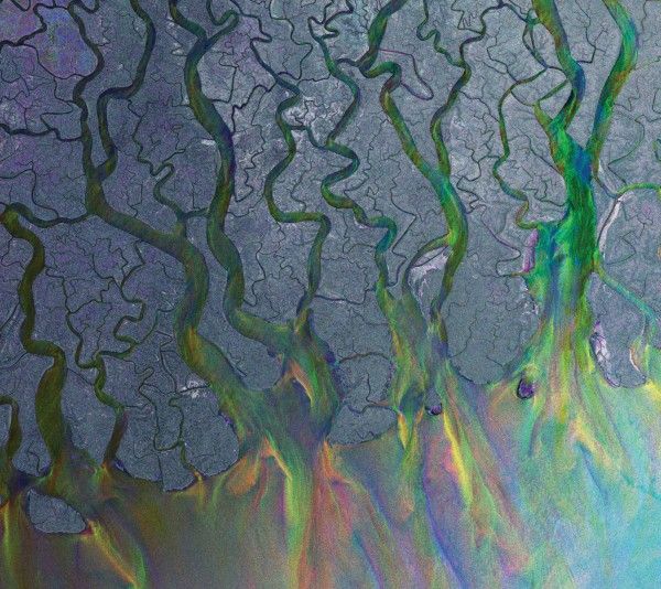 ALT J "An awesome wave"
