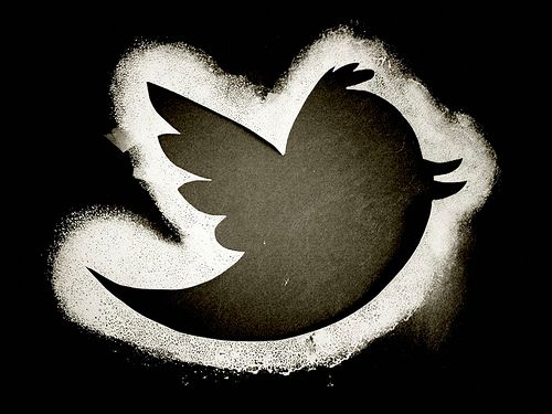 Twitter (oiseau)