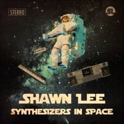 Shwan Lee Synthesizers In Space