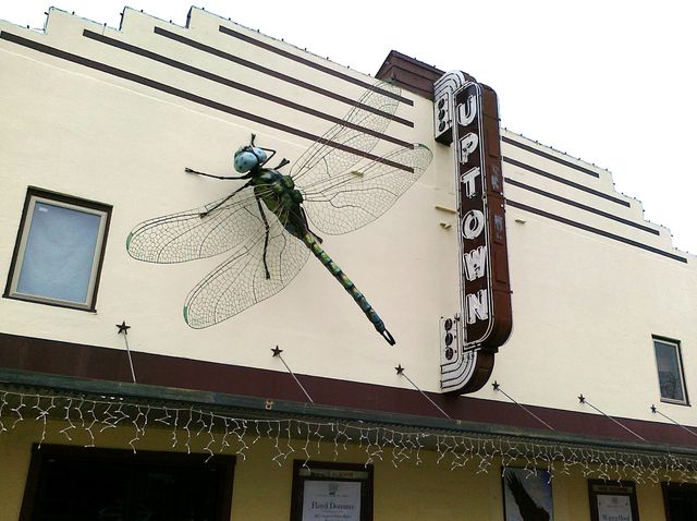 Uptown Dragonfly (Libellule d'Uptown)