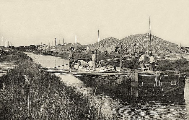 Chargement des péniches en sel à Aigues-Mortes au début du XXe siècle