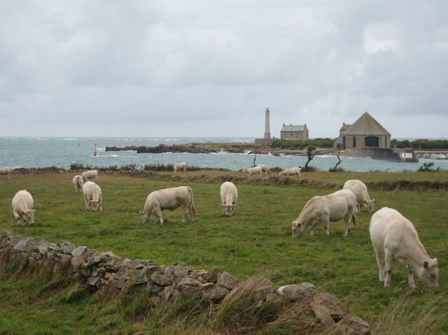 Goury, Cotentin