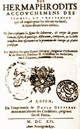 hermaphrodite montaigne