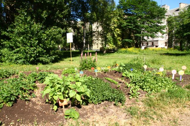 Le Jardin communautaire créé par Madle, Tallinn