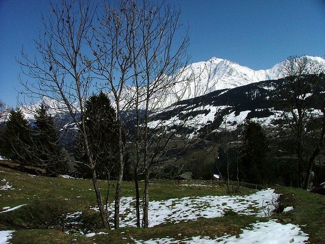 Mont Blanc