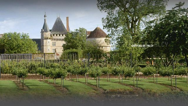 Château de Talcy