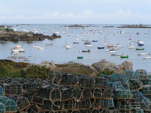 Chausey (Manche) naces à homards, bateaux, îles.