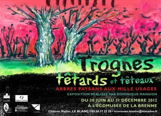 Exposition Trognes, têtards et têteaux à l'écomusée de la Brenne