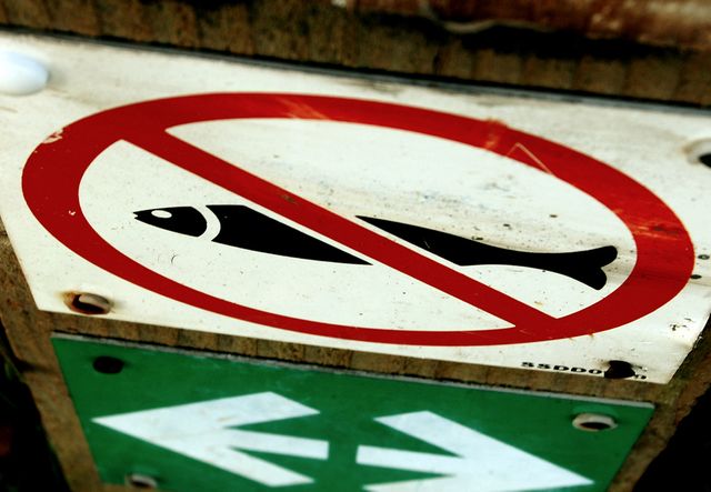 Interdit aux poissons (no fishing)