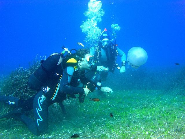 Plongée sous-marine - Scuba diving in Elba island, Italy