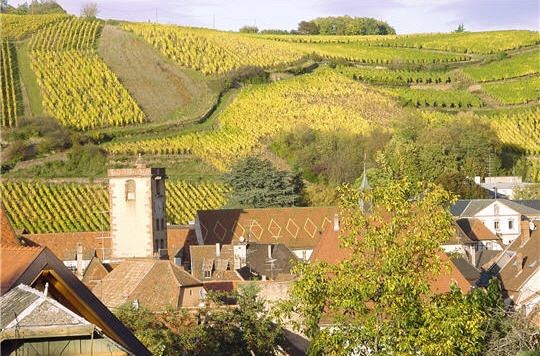 ribeauvillé