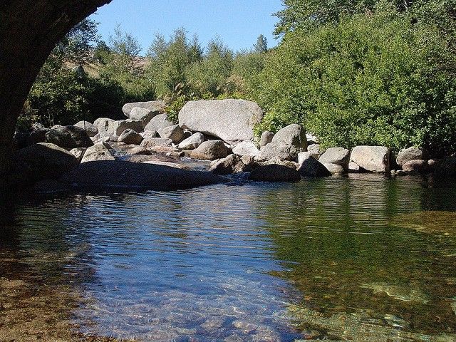 Tarn