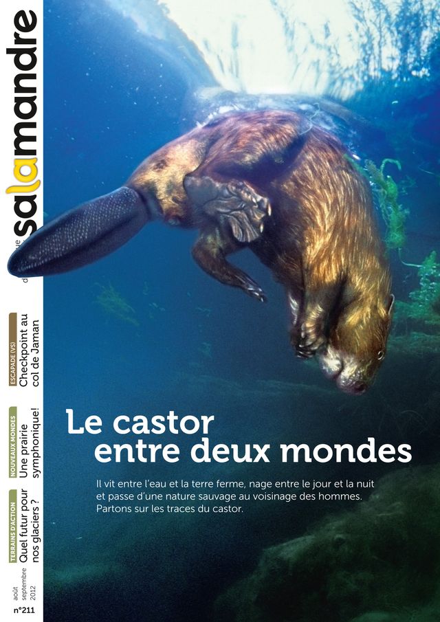 La revue La Salamandre