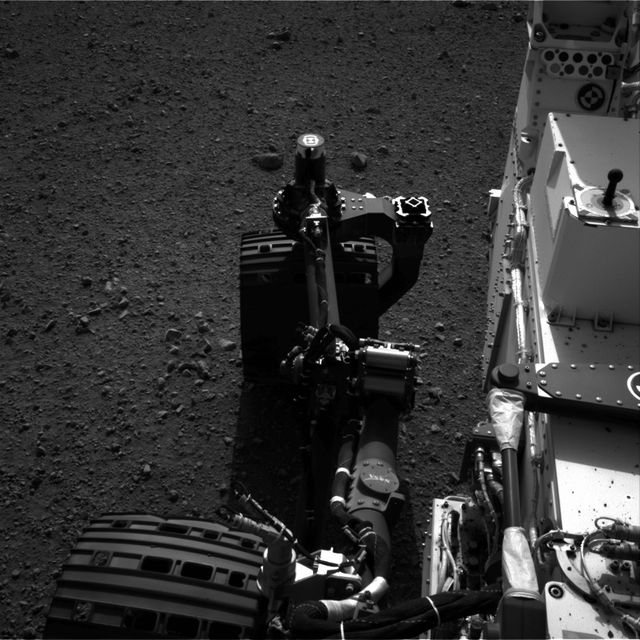 curiosity