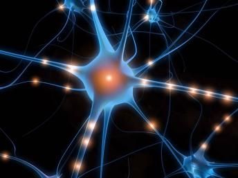 Neurones