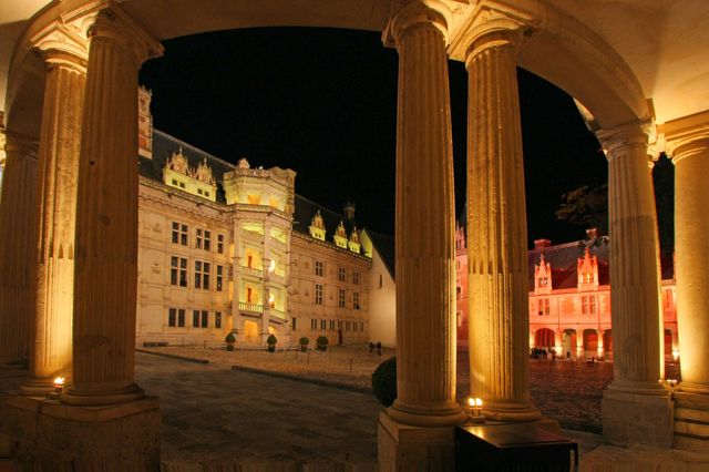 chateau de Blois