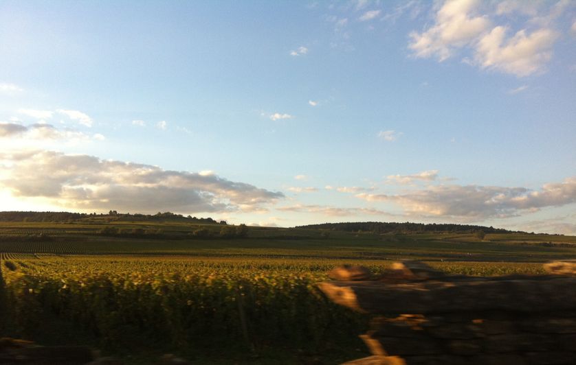Sur la route des vendanges....