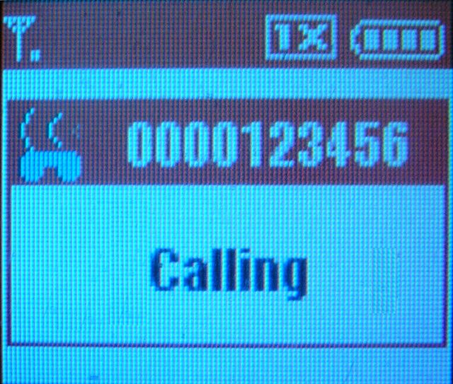 skype call