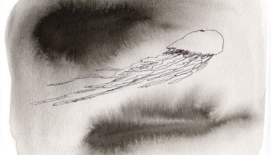 Meduse par Philippe Dupuy