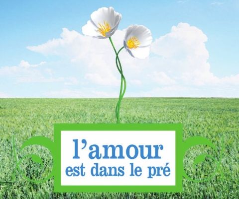 L'amour est dans le pré