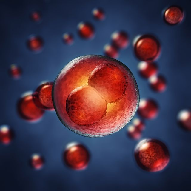 Cellule