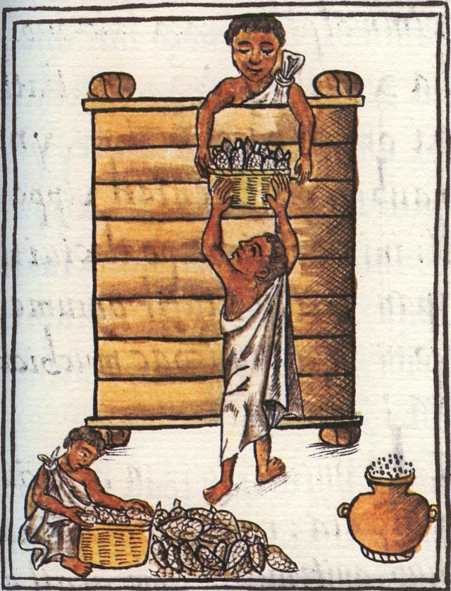 Stockage du maïs par les Aztèques - "La Historia General de las Cosas de Nueva Espana" ou Codex florentin - Fin XVIe siècle