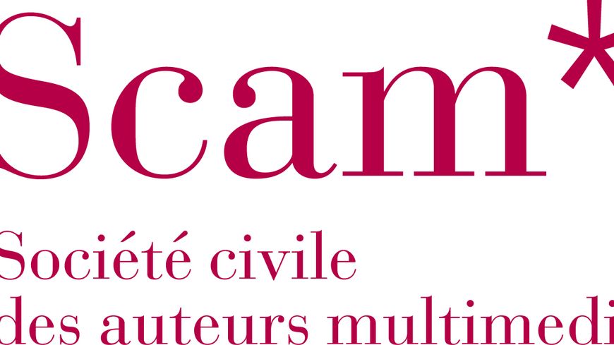 logo scam