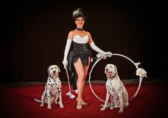 Cirque Alexis Gruss - Ellipse