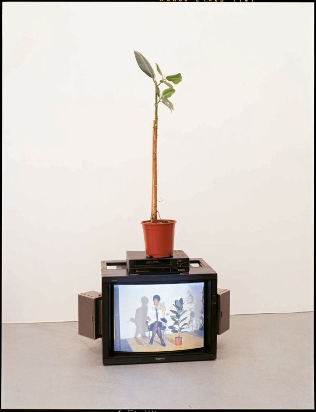 Fabrice Hyber, arbre à une feuille